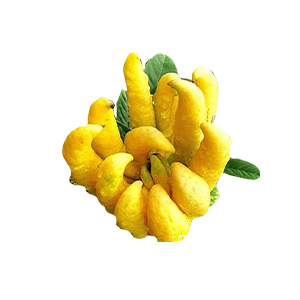 画板 9